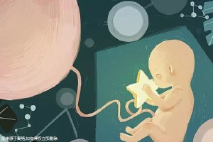 关于借卵代怀选性别